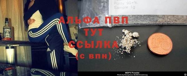 стаф Михайловск