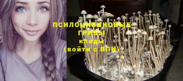герыч Абинск